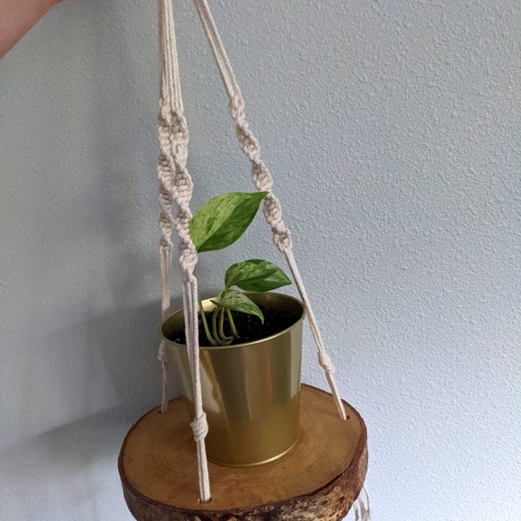 Boho Macrame Wood Slice Plant Hanger - Picture 2 of 2